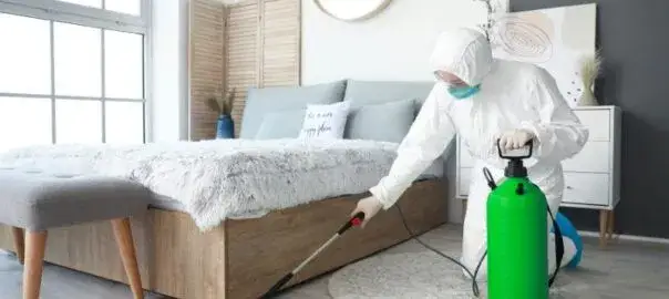Zdjęcie Świerzb co z ubraniami - skuteczne metody dezynfekcji i ochrony